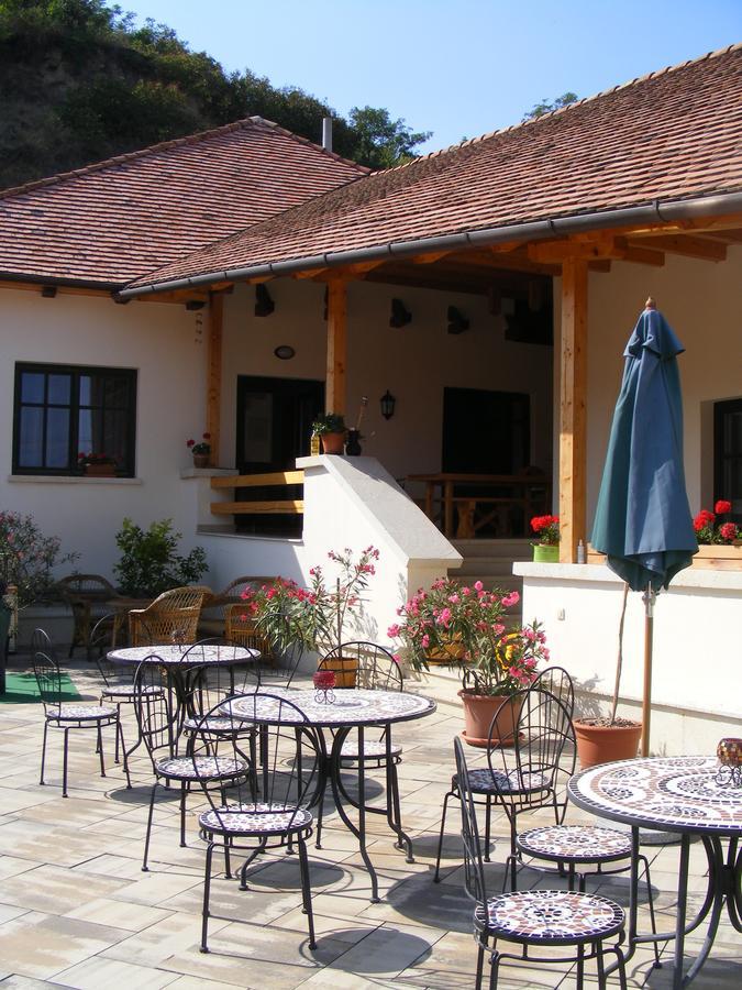 Erzsebet Pince Appartement Tokaj Buitenkant foto